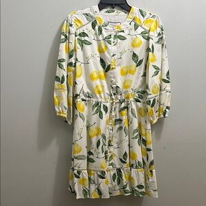 Lemon Print Long Sleeve Dress